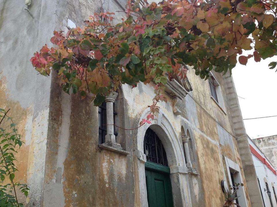 הוילה בארי Dimora Benedetta 2 0 מראה חיצוני תמונה
